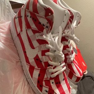 Nike Dunk SB Hi "Picnic" Size 13 DEADSTOCK No Box